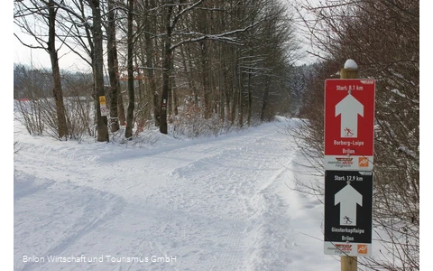 Parkplatz Skating Loipe