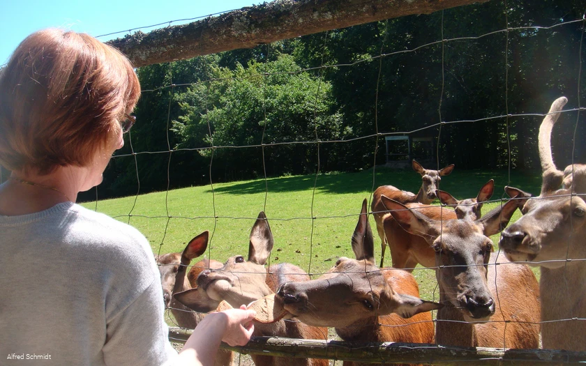 Wildgehege Dodenau