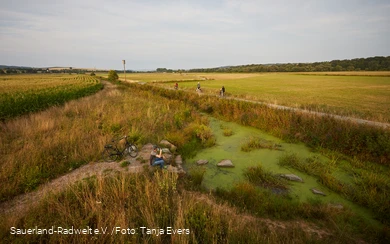 The Eder floodplains near Allendorf.