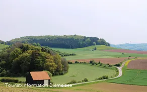 Sudeck