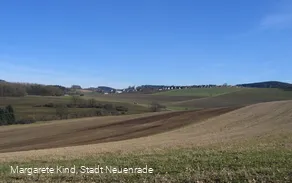 Blick auf Affeln