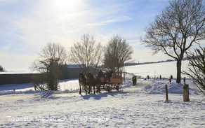 Pferdeschlitten im Winter in Medebach