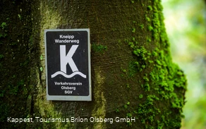 Olsberger Kneipp WanderWeg