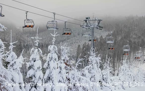 Winter_2023_Postwiese_Neuastenberg_stephanpetersdesign.de-18 (1).jpeg