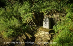 Christenbörnchen bei Willingen-Usseln