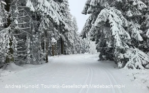 Winterspaß beim Langlauf