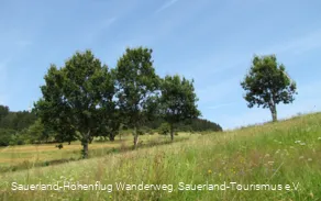 Wiesen in der Medebacher Bucht