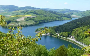NP Diemelsee_View of the lake.jpg