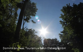 Naturschutzgebiet Drübel