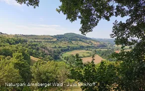 Rittersprung Marsberg an der Sauerland-Waldroute