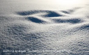 Schneedecke Brilon