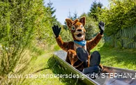 Waldi_August_2024_stephanpetersdesign.de-90.jpeg