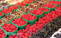 Frische Produkte auf dem Mendener Wochenmarkt