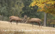 WildtierPark