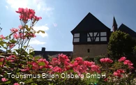 Rosendorf
