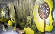 Interaktive Erlebnisausstellung