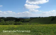Aussicht auf Wiese