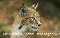 WildtierPark