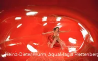 Erlebnisbad und Rutschen-Gigant AquaMagis
