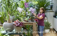 Blumen Lindner (3).jpg