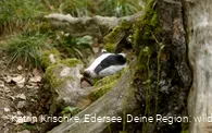WildtierPark Edersee