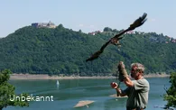 Flugschau der Greifenwarte