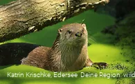 WildtierPark Edersee