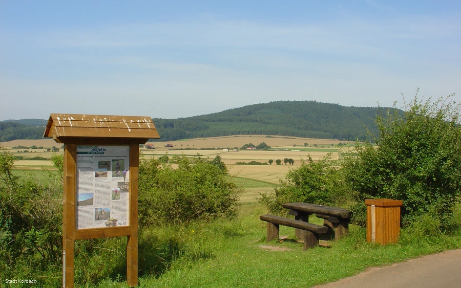 Marbeckhänge Sommer