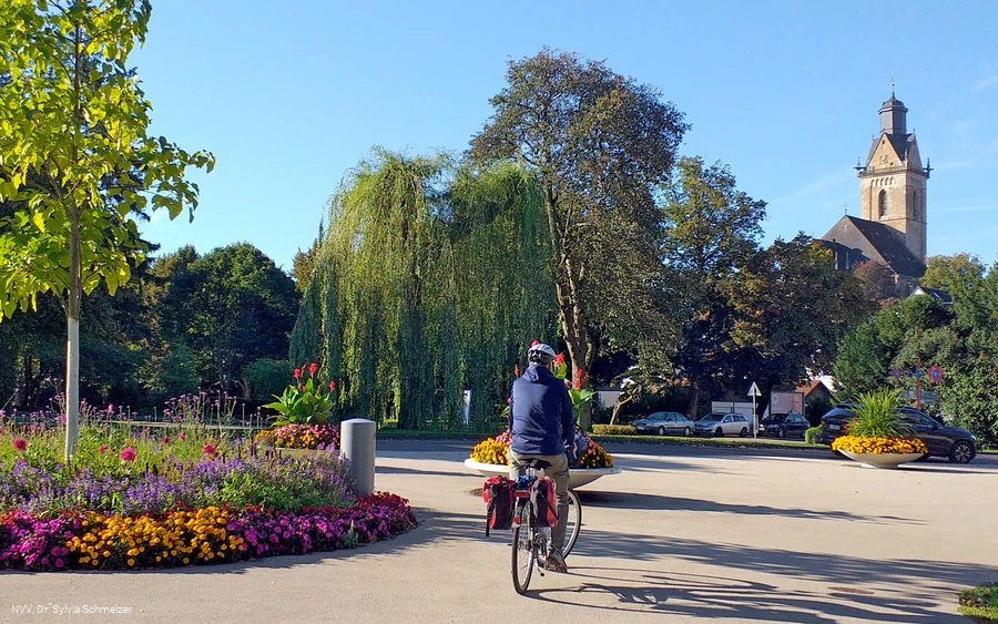 Radfahrer Stadtpark StrotherStr Radfahrer Stadtpark StrotherStr