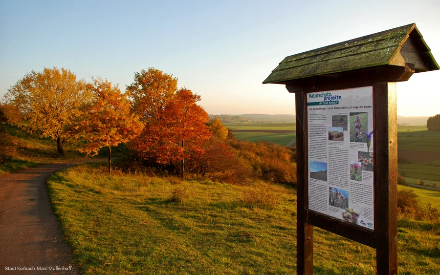 Infotafel Marbeckhänge Herbst