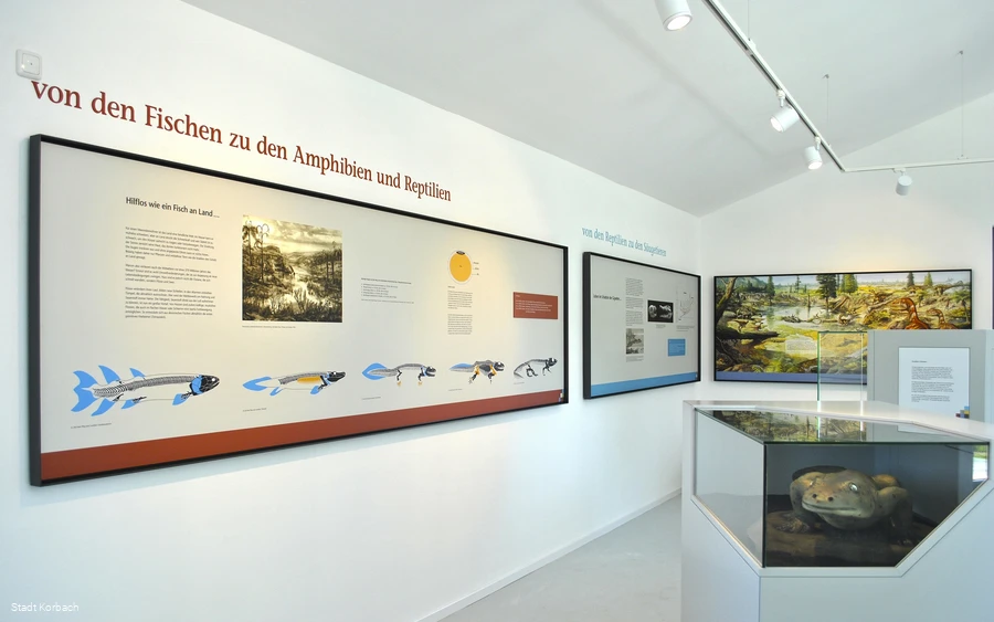 Dachgeschoss Kalkturm Dachgeschoss Kalkturm