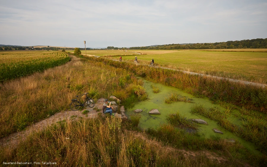 The Eder floodplains near Allendorf.