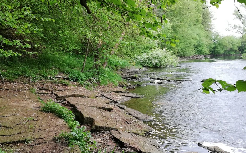 An der Edestede bei Birkenbringhausen