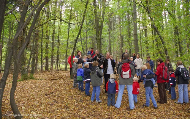 Ein Waldspaziergang birgt ungeahnte Geheimnisse, die bei dieser geführten Wanderung mit einem geschulten Leiter gelüftet werden.