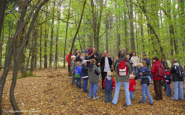 Ein Waldspaziergang birgt ungeahnte Geheimnisse, die bei dieser geführten Wanderung mit einem geschulten Leiter gelüftet werden.