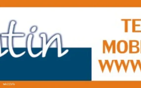 valentin logo.jpg