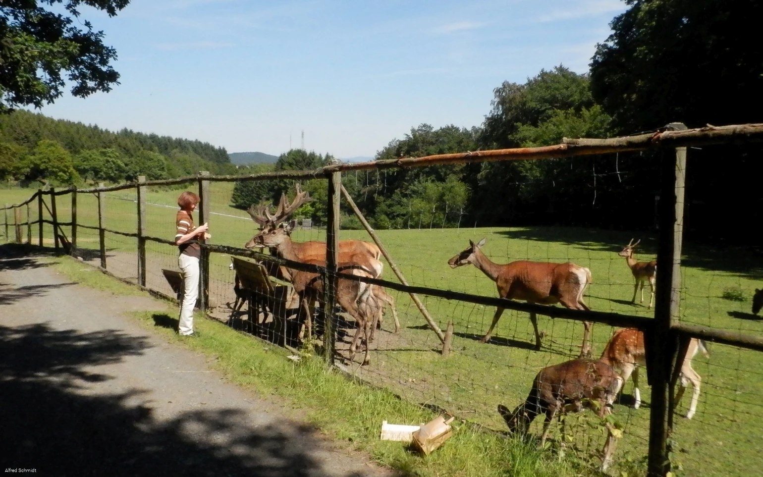 Wildgehege Dodenau