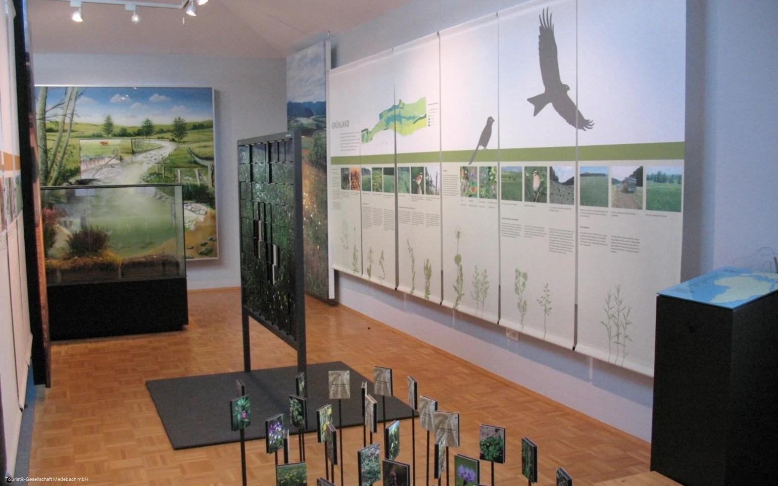 Naturpark Infozentrum Sauerland-Rothaargebirge