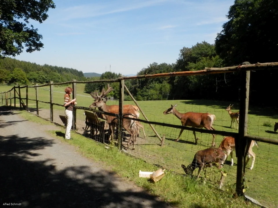 Wildgehege Dodenau