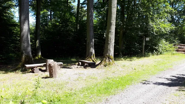 Wanderweg (1).jpg
