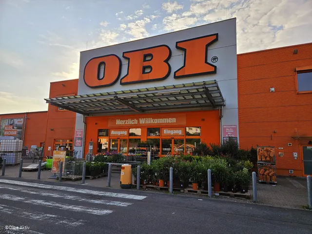 Obi.jpg