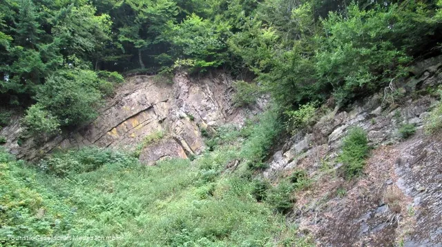 Geologischer Aufschluss - Niggenhuses Steinbruch