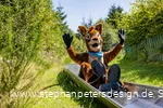 Waldi_August_2024_stephanpetersdesign.de-90.jpeg