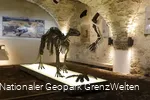 Urzeitreptilien im Briloner Museum Haus Hövener