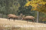 WildtierPark