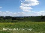 Aussicht auf Wiese