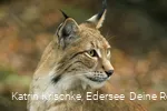 WildtierPark