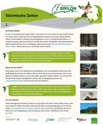 Infotafel Station 1 Waldfeenpfad
