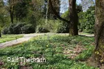 Der Frühling bringt die eine oder andere Blütenpra