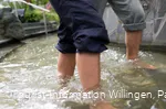 Wassertreten.jpg